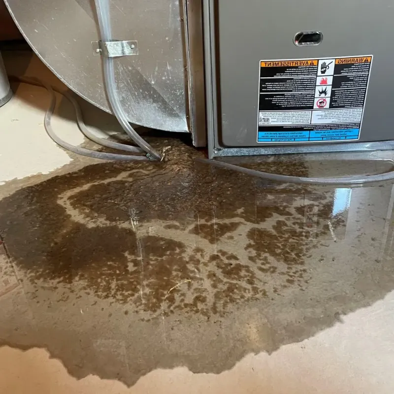 Pipe Burst and Leak Restoration in Gallipolis, OH