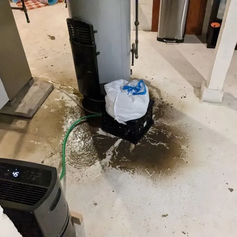 Sewage Backup Cleanup Service in Gallipolis, OH